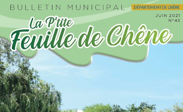 Feuille de chêne n°43