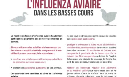 Influenza Aviaire – Relèvement du niveau de risque