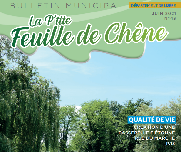 FEUILLE DE CHENE N°43