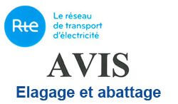 Travaux d’élagage et abattage sur la commune