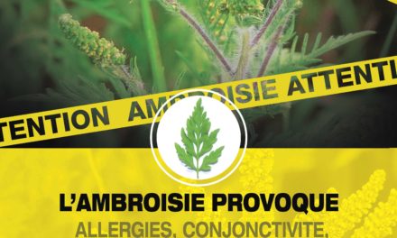 AMBROISIE INVASIVE