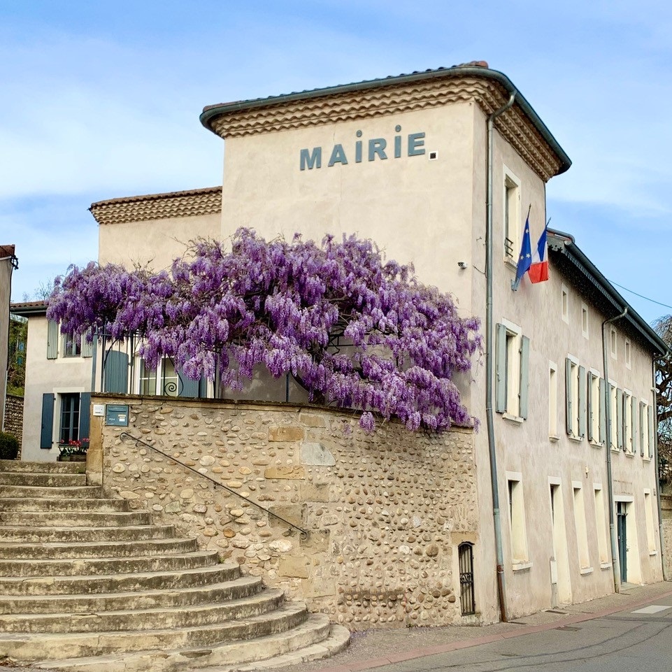 accueil-www-mairie-chanas