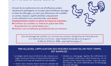 INFLUENZA AVIAIRE – RELÈVEMENT DU NIVEAU DE RISQUE