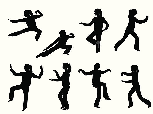 TAI CHI CHOUAN
