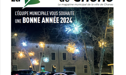 FEUILLE DE CHENE N°48