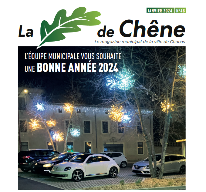 FEUILLE DE CHENE N°48