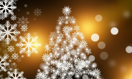 COLIS DE NOEL