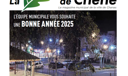 FEUILLE DE CHENE N°50