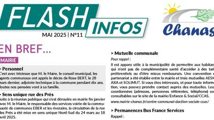 FLASH INFO N°11