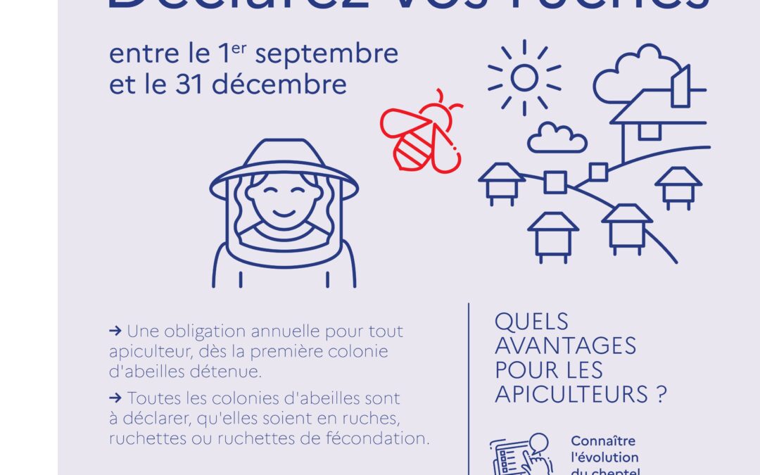 CAMPAGNE DE DECLARATION DES RUCHES 2025