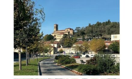 FEUILLE DE CHÊNE N°52