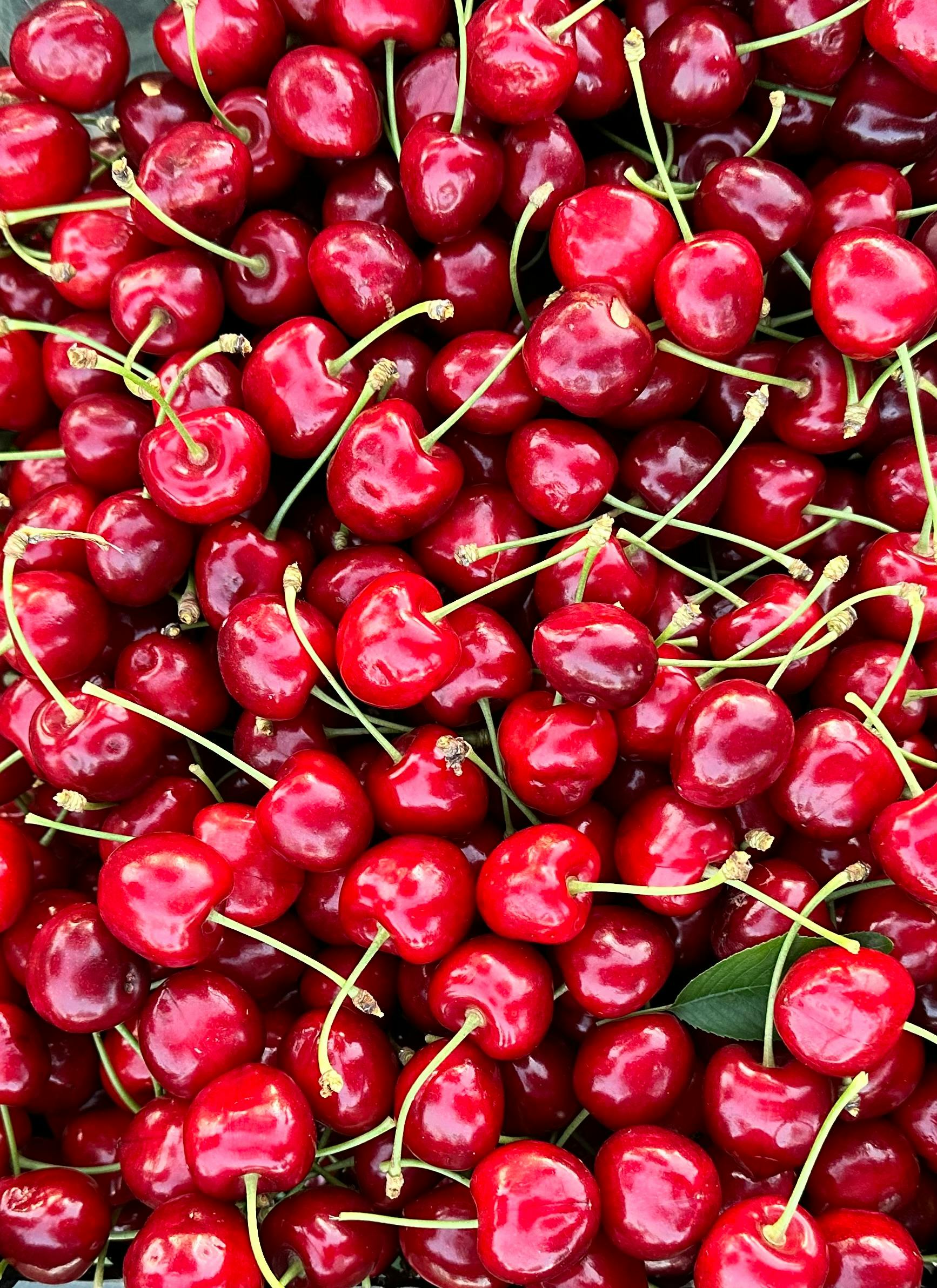 OUVERTURE MARCHÉ AUX FRUITS
