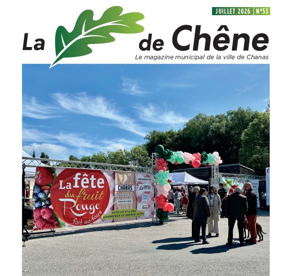 FEUILLE DE CHÊNE N°53