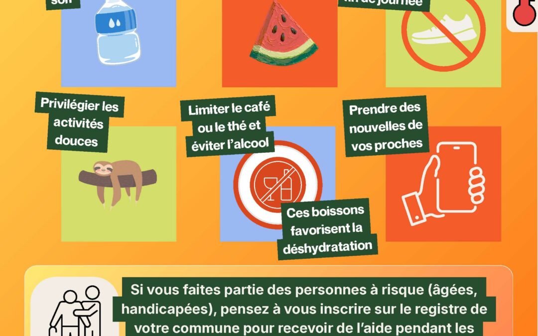 CANICULE ADOPTEZ LES BONS RÉFLEXES